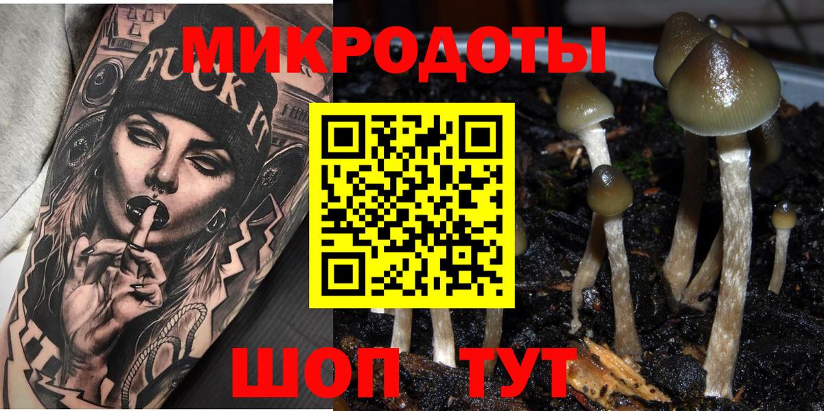 Новоуральск  Псилоцибиновые грибы мухоморы  где купить   Вход с VPN 