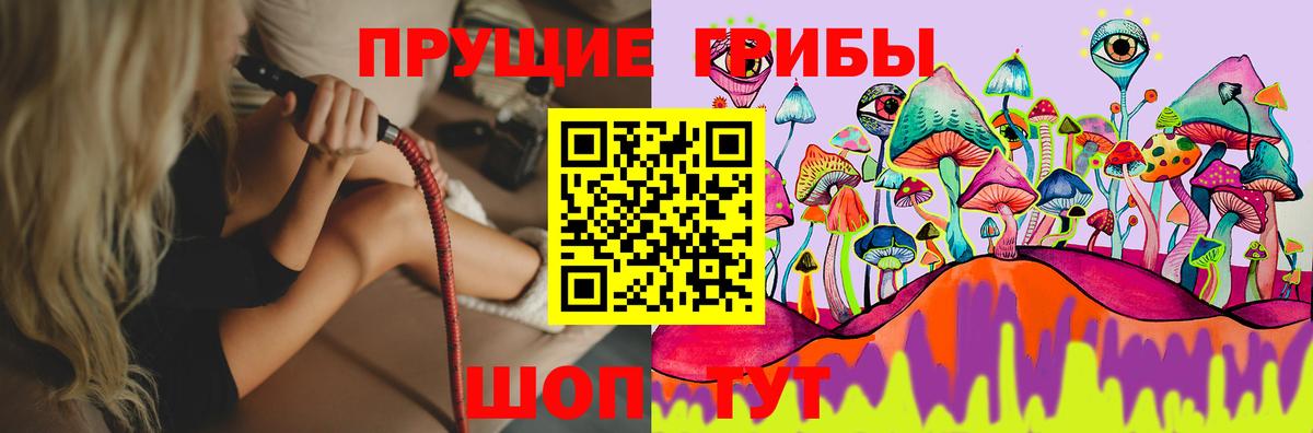 Псилоцибиновые грибы Cubensis Новоуральск